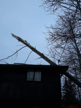 FB_IMG_1668841120798