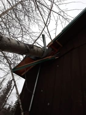 FB_IMG_1668841123889