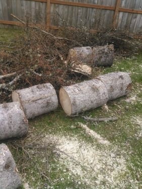 FB_IMG_1582658096277