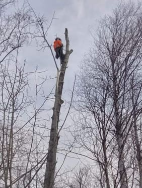 FB_IMG_1681960657044