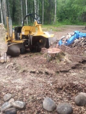 FB_IMG_1708226144872